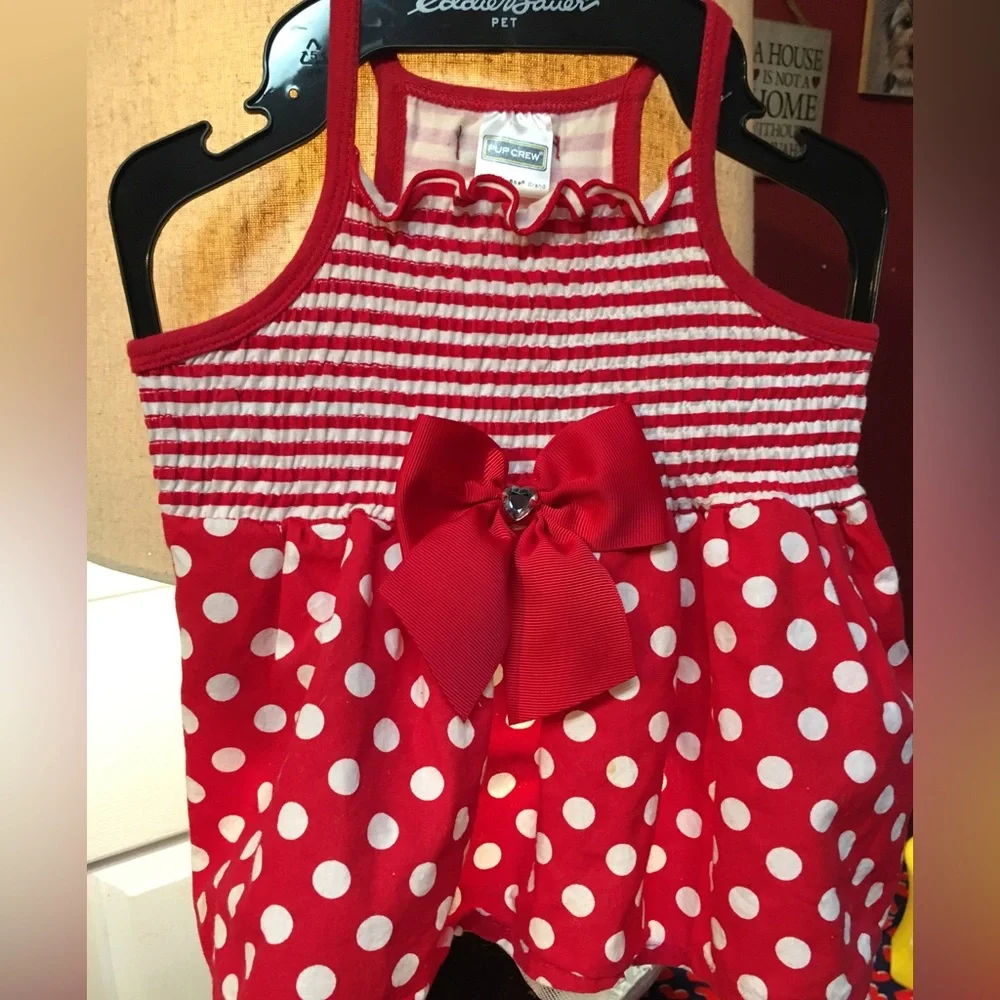 Fur baby Valentines Day ❤️ Dress 🐶🐾